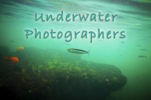 Underwater Photographers